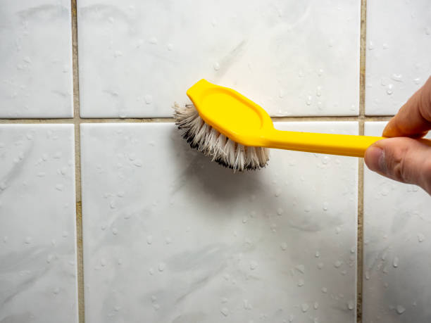 Best Local Mold Removal Service  in Swifton, AR